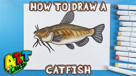 catfish drawing easy|How to Draw a Catfish